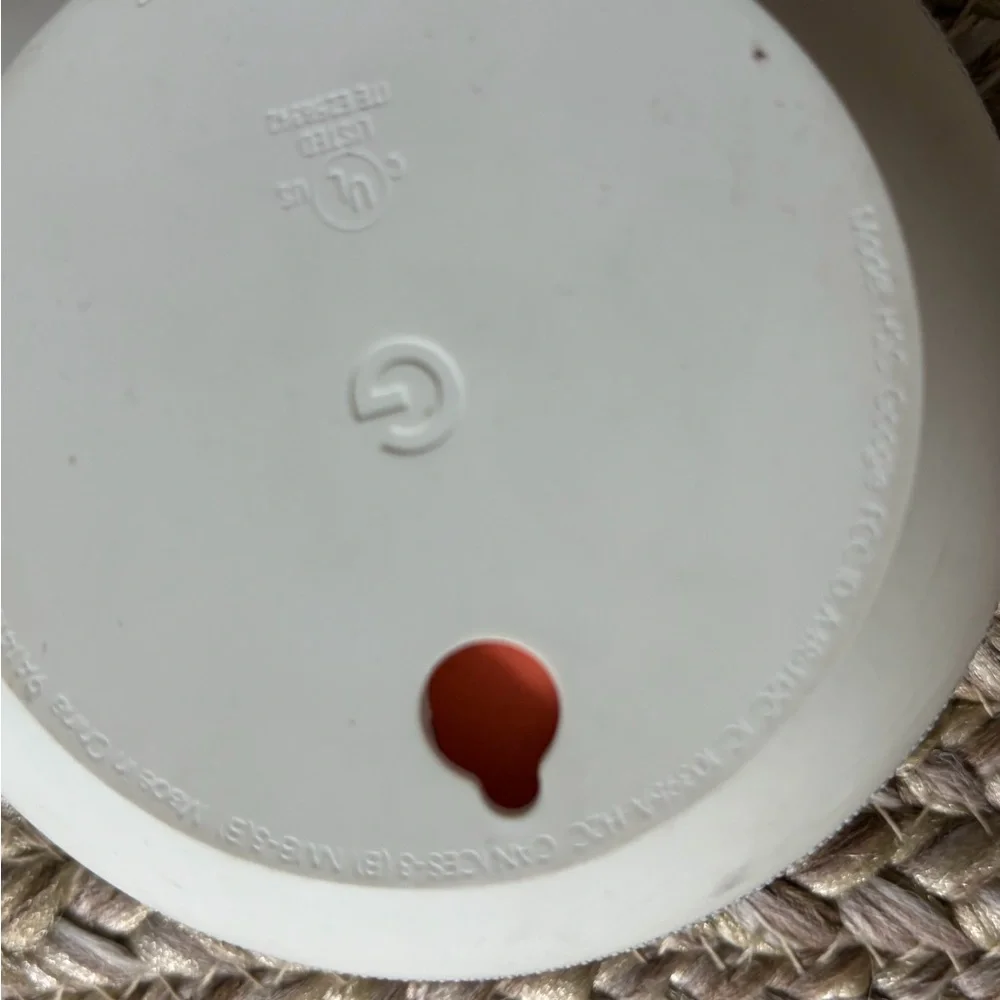 Google Mini Portable Speaker